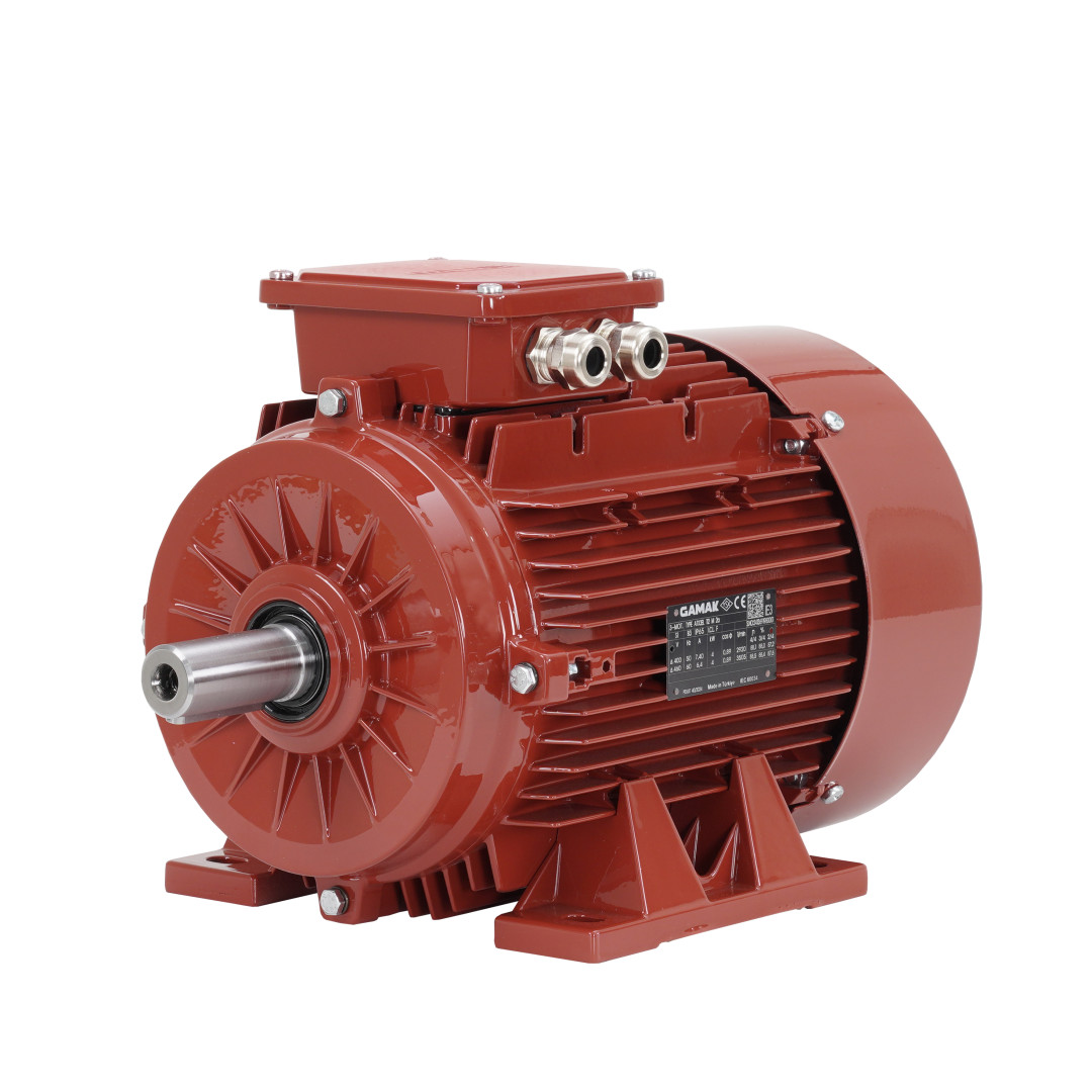 ATEX 22